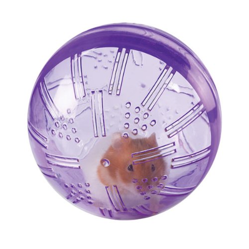 Buy PURPLE - Small Animal Excercise Ball online at Discounted New and Used prices. Delivered to your door with Off-The-Bookshelf.