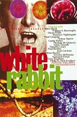 White Rabbit: A Psychedelic Reader