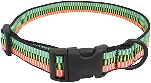 Bison Pet Rad Adjustable Nylon Dog Collar, 1" X 10"-16", Medium, Multi-Color