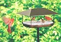 Duncraft 169 Squirrel Proof Pavillion Platform Feeder