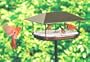 Duncraft 169 Squirrel Proof Pavillion Platform Feeder