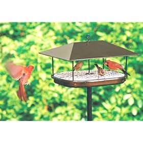 Duncraft 169 Squirrel Proof Pavillion Platform Feeder