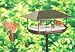 Duncraft 169 Squirrel Proof Pavillion Platform Feeder