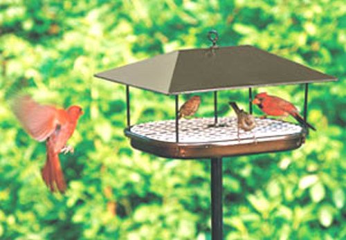 Bird Feeder Plans Duncraft 169 Squirrel Proof Pavillion Platform