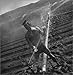 Male of the Species: Four Decades of Photography by Arthur Tress