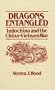 Dragons Entangled: Indochina and the China-Vietnam War