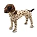Melissa & Doug Plush German Shorthaired Pointer Image