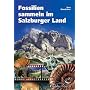 Fossilien sammeln im Salzburger Land: Ein F�hrer zu klassischen und neuen Fundstellen