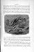 NATURAL HISTORY 1896 HAWKSBILL TURTLES LOGGERHEAD PRINT
