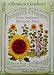 Giant Sunflowers Heirloom Titan Seeds