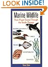 Marine Wildlife: From Puget Sound Through the Inside Passage