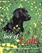 Love of Labs: The Ultimate Tribute to Labrador Retrievers (Country Sports)
