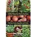 The Edible . . Garden ! 2