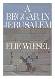 A beggar in Jerusalem : a novel