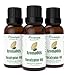Eucalyptus Essential Oil - AromaOils 1 oz (30 ml) - Best 100% Pure Therapeutic Grade - Used now for Aromatherapy, Natural Home Cleaning Additive, and as part of your Natural First Aid Kit