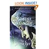 The Stone Key: The Obernewtyn Chronicles 6