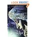 The Stone Key: The Obernewtyn Chronicles 6