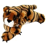Baby Bruin-Tiger