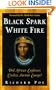 Black Spark, White Fire: Did African Explorers Civilize Ancient Europe?