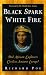  Black Spark, White Fire: Did African Explorers Civilize Ancient Europe? 