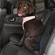 SML / MEDIUM - PINK - Houndstooth Car Harness