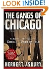 The Gangs of Chicago: An Informal History of the Chicago Underworld (Illinois)
