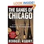 The Gangs of Chicago: An Informal History of the Chicago Underworld (Illinois)