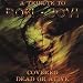 Dead or Alive: Bon Jovi Tribute