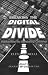 Breaking the Digital Divide: Implications for Developing Countries