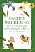 Favorite Wildflowers: Of the Great Lakes and Northeastern U.S.