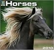 2010 Horses Wall Calendar