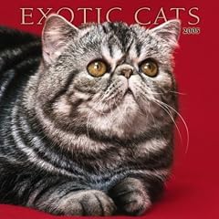 Exotic Cats 2005 Calendar