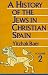 A History of the Jews in Christian Spain, Vol. 2