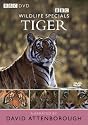 Wildlife Special - Tiger [DVD] [1999]