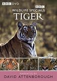 Wildlife Special - Tiger [1999]