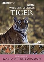 Wildlife Special - Tiger [DVD] [1999]