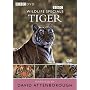Wildlife Special - Tiger [1999]
