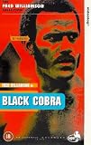 Review Superfly Video  / The Black Cobra [1987]