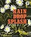 Rain Drop Splash