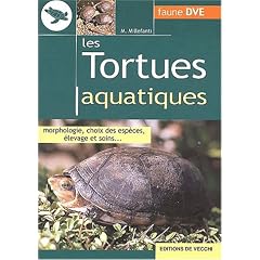 Les tortues aquatiques