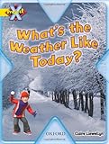 What's the weather like today?
