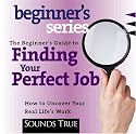 The Beginner's Guide to Finding Your Perfect Job