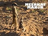 Meerkat Manor Season 3
