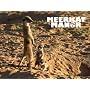 Meerkat Manor Season 3