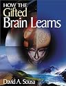 How the Gifted Brain Learns