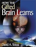 How the Gifted Brain Learns