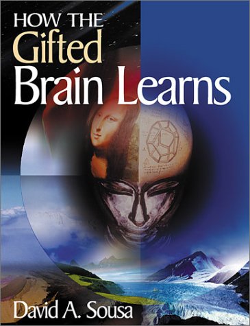 How The Gifted Brain Learns