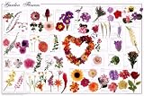GARDEN FLOWERS - 24x36 - ART PRINT / POSTER