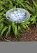 Hydrangea Glass Birdbath