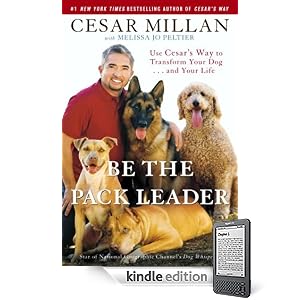 Be the Pack Leader: Use Cesar's Way to Transform Your Dog . . . and Your Life